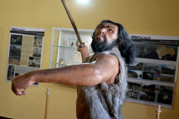 La Sala de Evolución Humana del Cipat de Tamajón da la bienvenida a una nueva figura