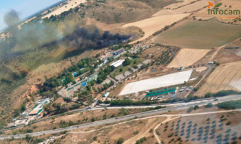 Controlado el incendio en los alrededores del Casino Club de Campo de Guadalajara