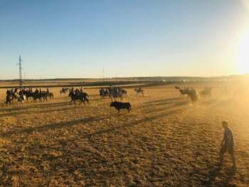 La Federación Taurina publica el calendario de festejos taurinos de la provincia