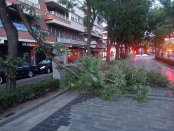El vendaval de viento de anoche deja numerosos destrozos en la capital