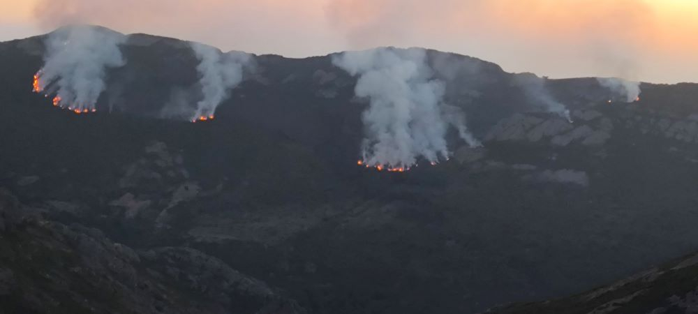 Estado del incendio de Cantalojas el pasado 31 de julio. Imagen: Agentes Medioambientales