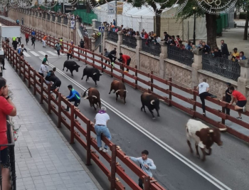 El Ayuntamiento ampliará las medidas de seguridad y apostará por la creación de una marca turística en torno a los Encierros en Puntas de Guadalajara