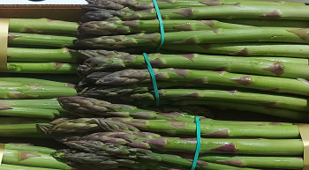 El espárrago verde de Guadalajara, un manjar a la conquista de los paladares más exquisitos de España y Europa