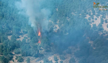 Detectado un incendio forestal en Baños de Tajo