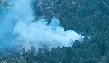 Extinguido el incendio declarado en la tarde de ayer en Baños de Tajo
