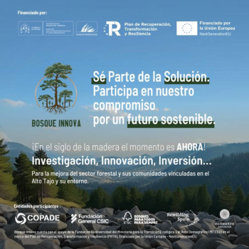 La iniciativa Bosque Innova promovida por el Miteco reactivará la economía del Alto Tajo