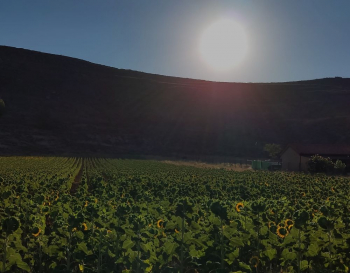 El mes de agosto en Guadalajara fue el más cálido y el segundo más húmedo de la serie histórica