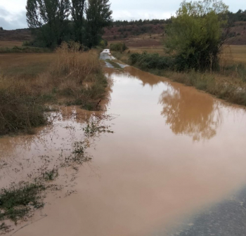 UPA solicita ayudas compensatorias a los afectados por la DANA en Guadalajara