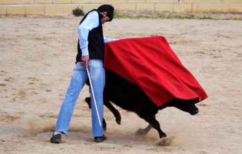 La Feria Taurina de Guadalajara se abre hoy martes con una clase práctica y suelta de reses