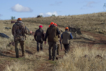 Se abre la temporada de caza mayor y menor en Castilla-La Mancha