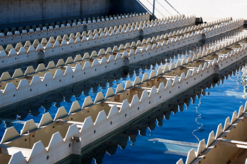 El consumo de la MAS sube un 3,7% en los primeros nueve meses del año, con respecto a 2023 