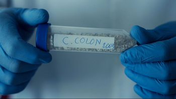 Un documental desvelará este 12 de octubre el auténtico origen de Cristóbal Colón, que la tesis alcarreña sitúa en Espinosa de Henares